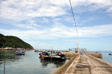 anh minh hoa